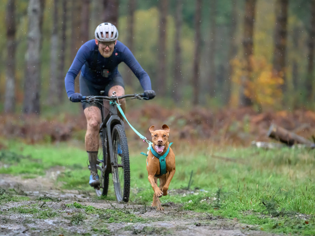 BSSF Nationals Round #1 in Thetford Forest, 3rd place, Photo by Geoff Pirie