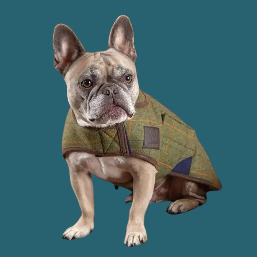 Dog Apparel - Wiggle and Wag