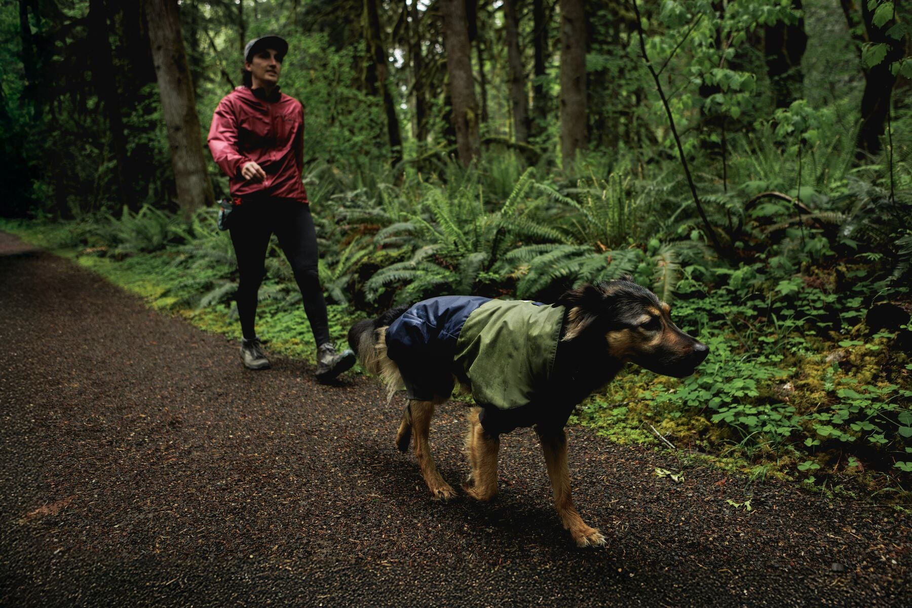 Dog wearing Ruffwear winter gear on a wet outdoor walk