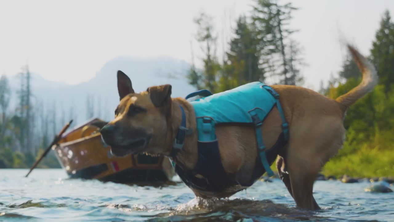 Harness style dog life jacket for boating and paddleboarding