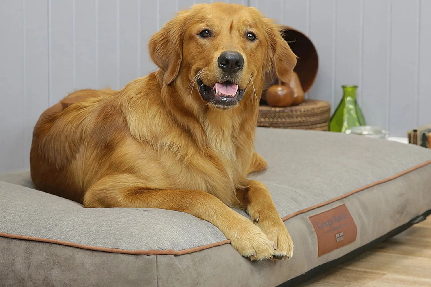 George Barclay Dog Mattresses - Wiggle and Wag