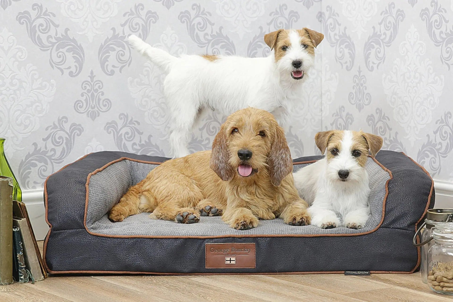 George Barclay Dog Sofa Beds - Wiggle and Wag