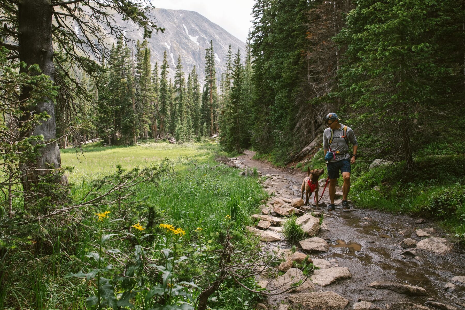 Hiking with your dog using Ruffwear outdoor gear