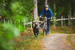 Non-stop dogwear Bike antenna KLICKfix package