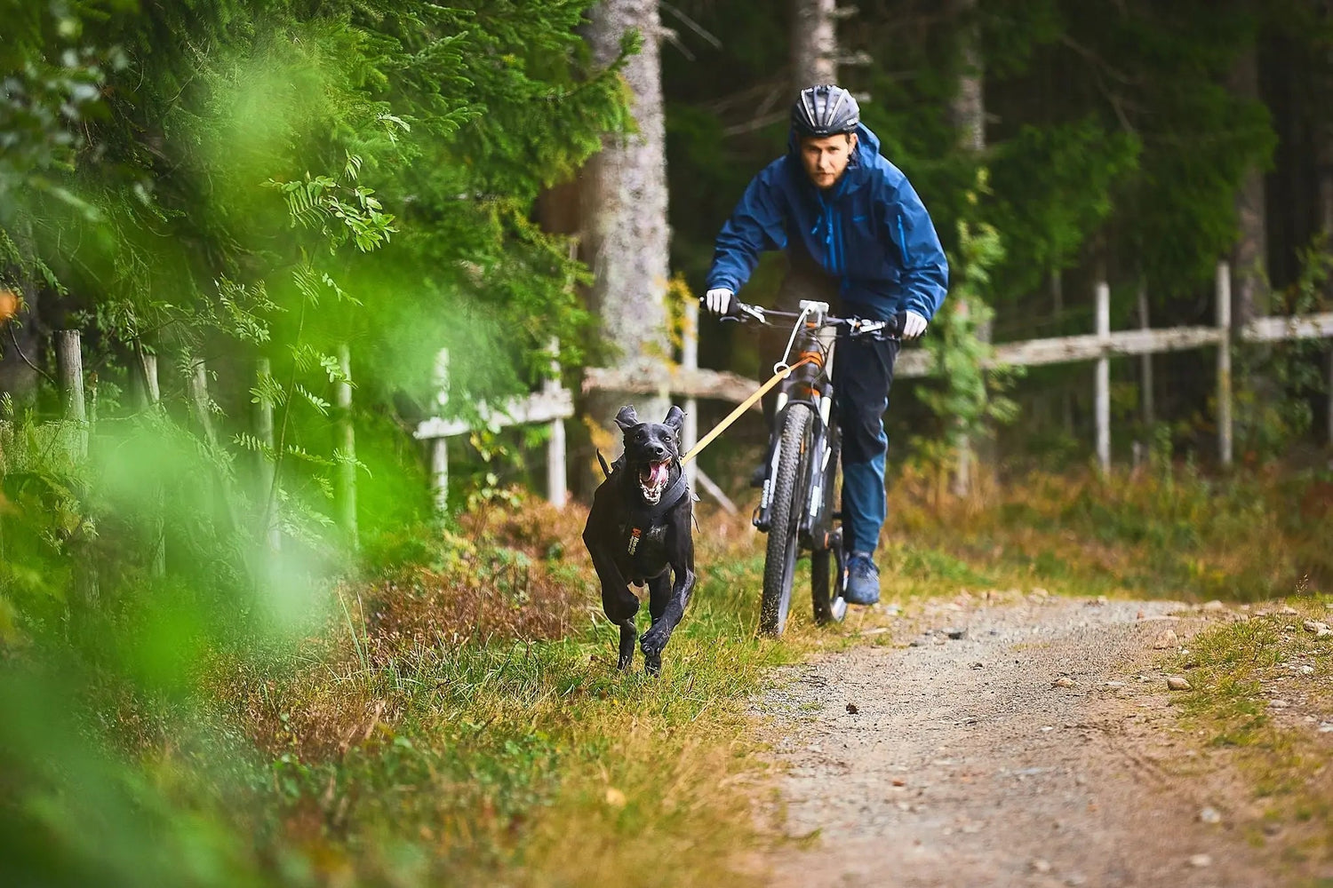 Non-stop dogwear Bike antenna KLICKfix package