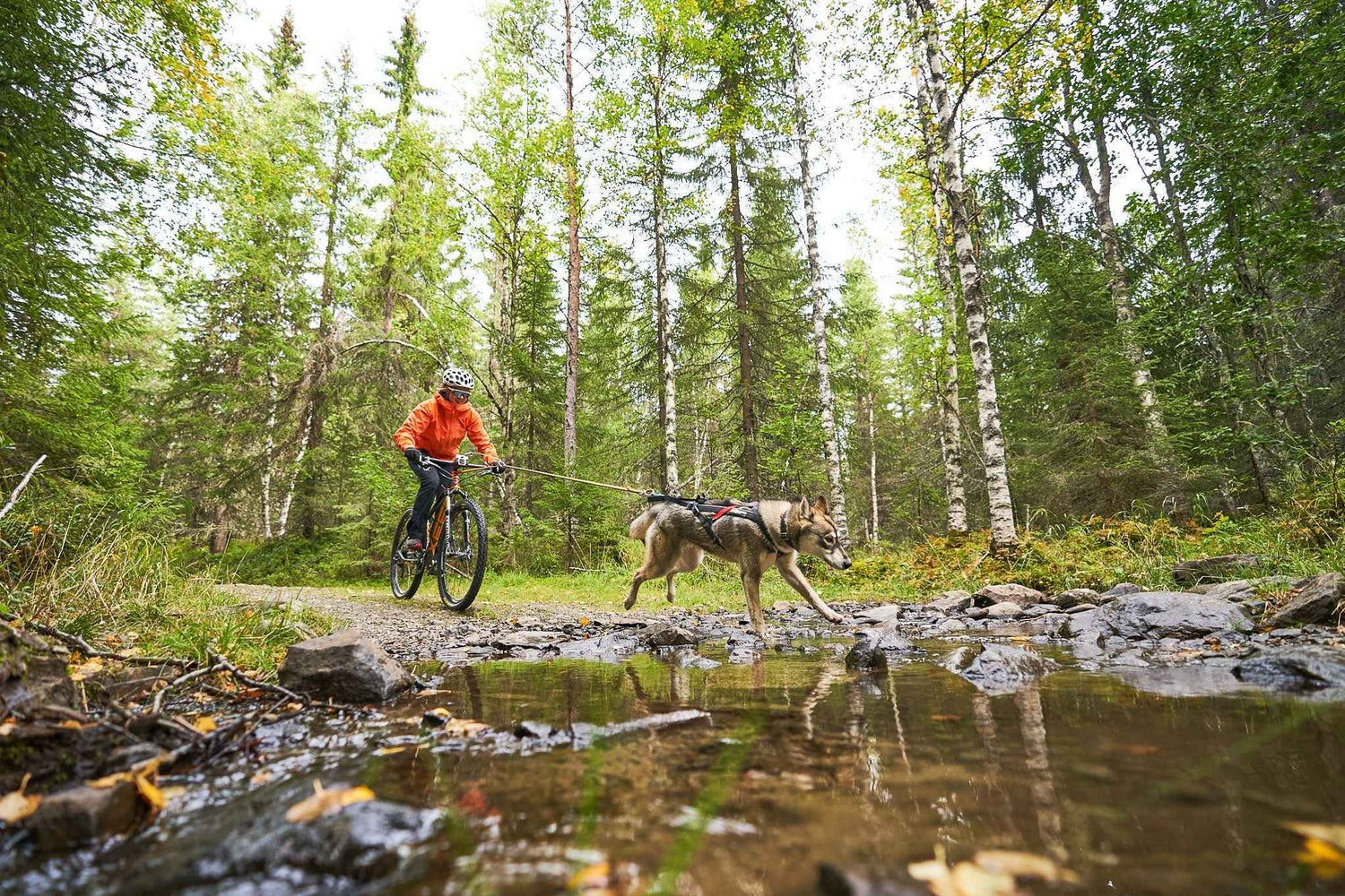 Non-stop dogwear Bike antenna KLICKfix package