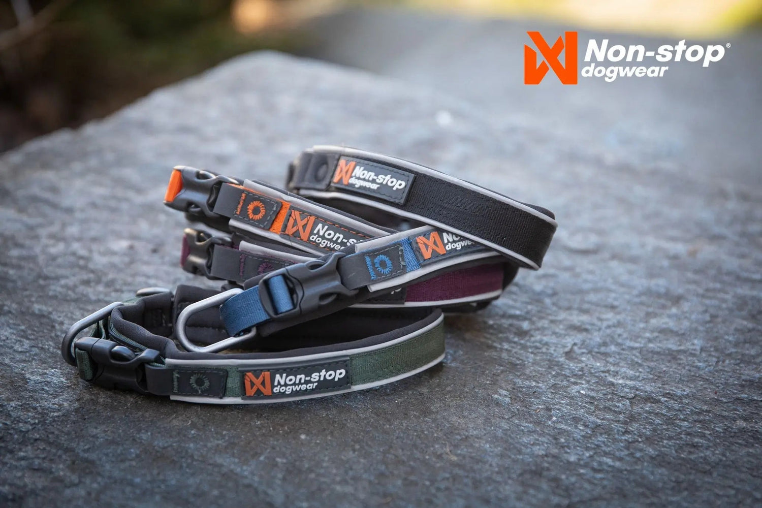 Non-stop dogwear Collars - Wiggle and Wag