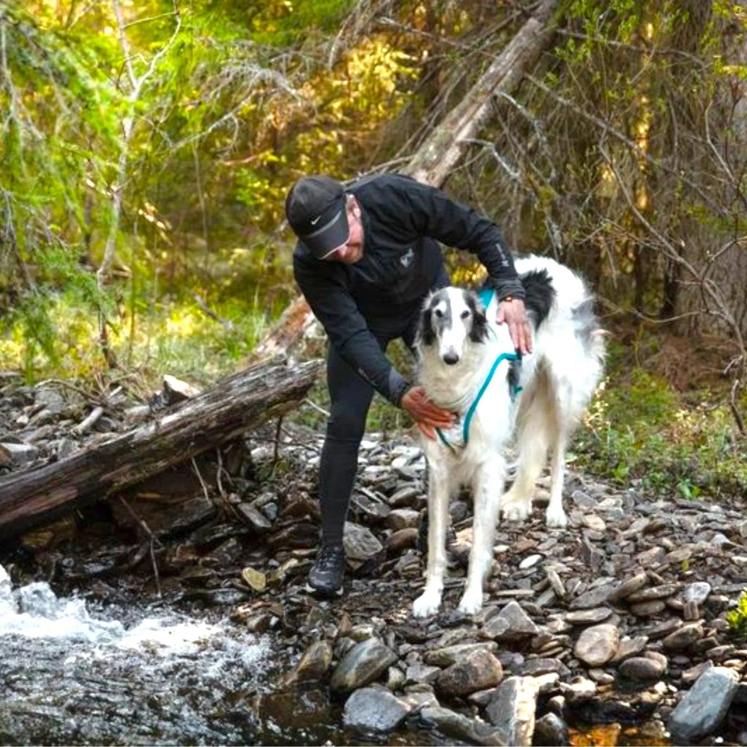 Non-stop dogwear Cooling Vest
