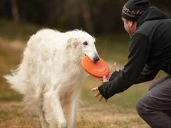 Non-stop dogwear Dog Flying Disc