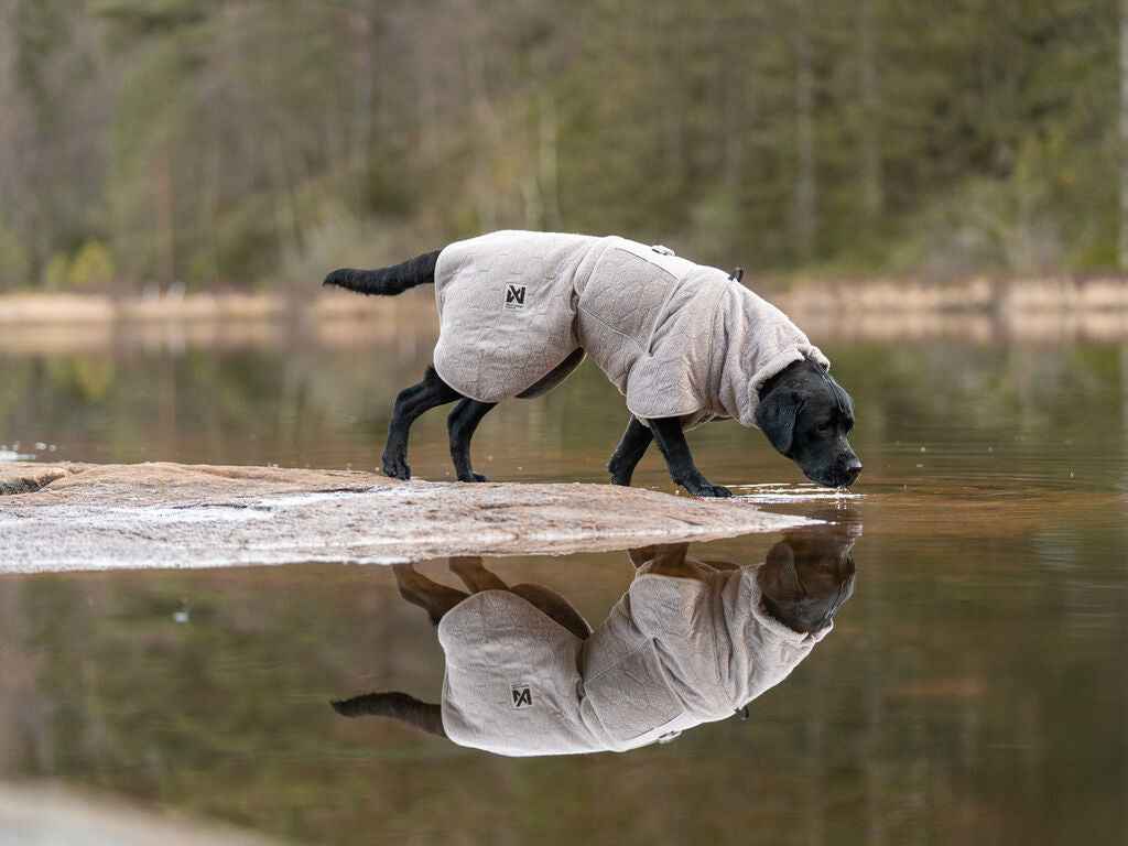 Non-stop dogwear Drying Coat
