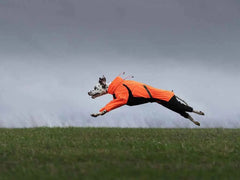 Non-stop dogwear Fjord Overall Raincoat