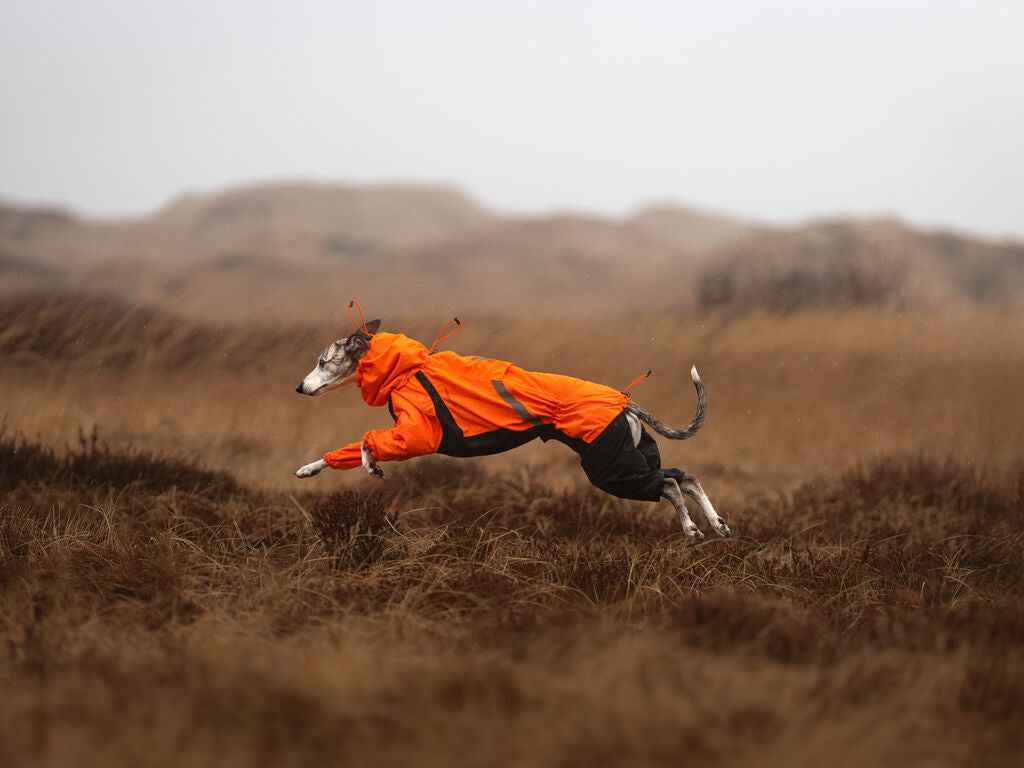 Non-stop dogwear Fjord Overall Raincoat