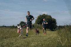 Non-stop Dogwear Freemotion Harness 5.0