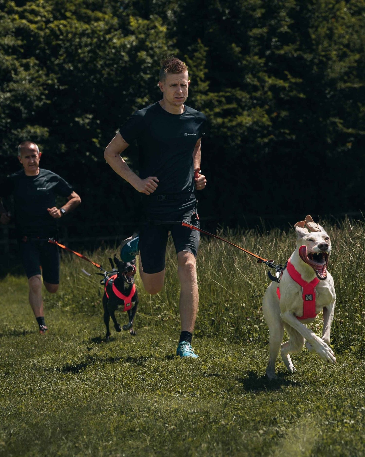 Non-stop Dogwear Freemotion Harness 5.0
