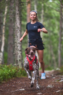 Non-stop Dogwear Freemotion Harness 5.0