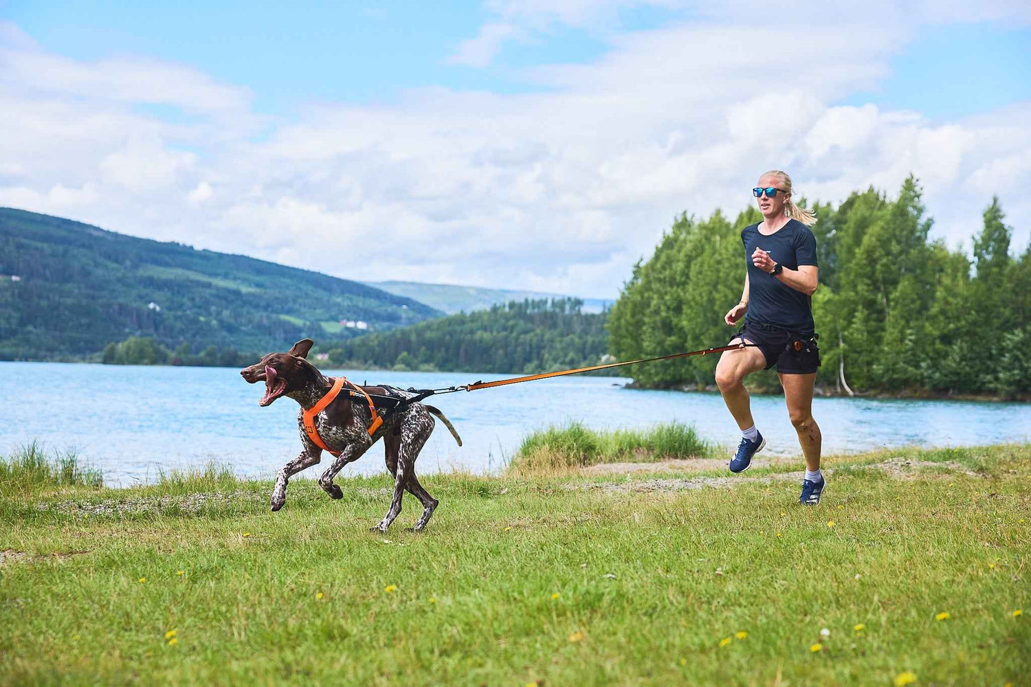 Non-stop Dogwear Freemotion Harness 5.0