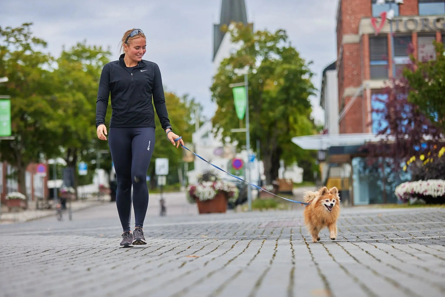 Non-stop dogwear Leashes - Wiggle and Wag