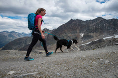 Non-stop Dogwear Line Harness 5.0