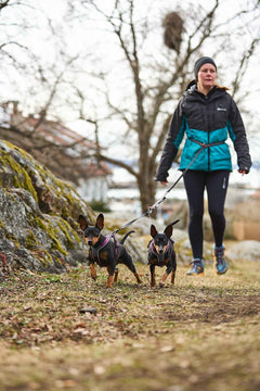 Non-stop Dogwear Line Harness 5.0