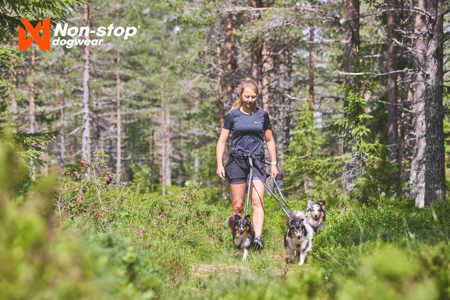Non-stop Dogwear Line Harness 5.0