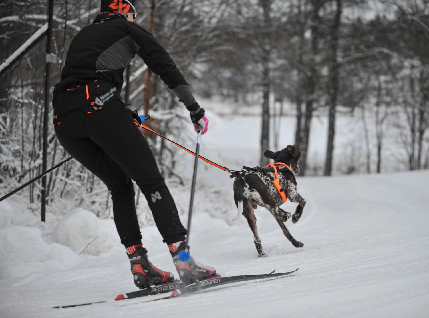 Non-stop dogwear Loype Belt Pro