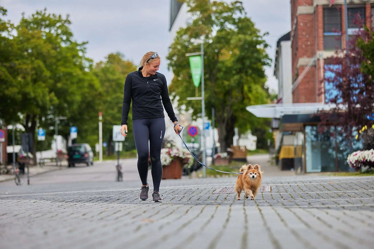 Non-stop dogwear Move Leash