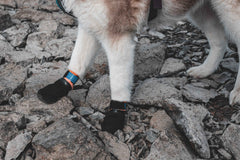 Non-stop Dogwear Protector bootie