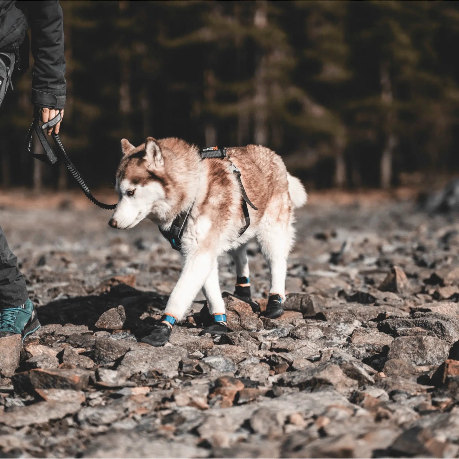 Non-stop Dogwear Protector bootie