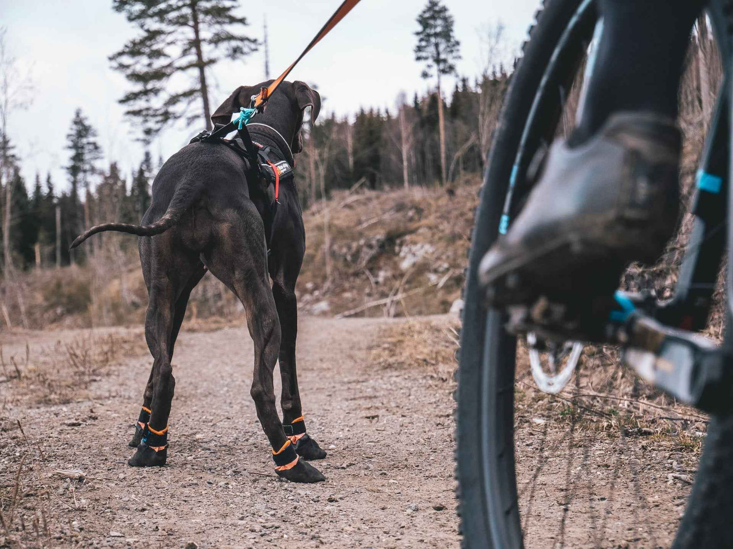 Non-stop Dogwear Protector bootie