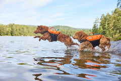 Non-stop dogwear Protector life jacket