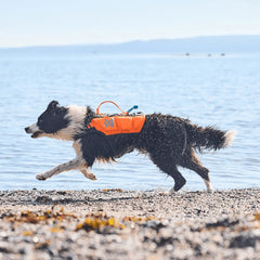 Non-stop dogwear Protector life jacket