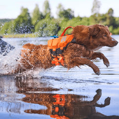 Non-stop dogwear Protector life jacket