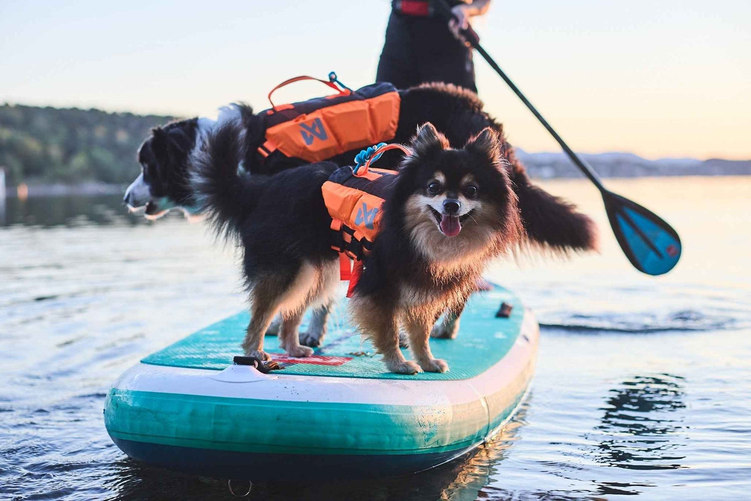 Non-stop dogwear Protector life jacket