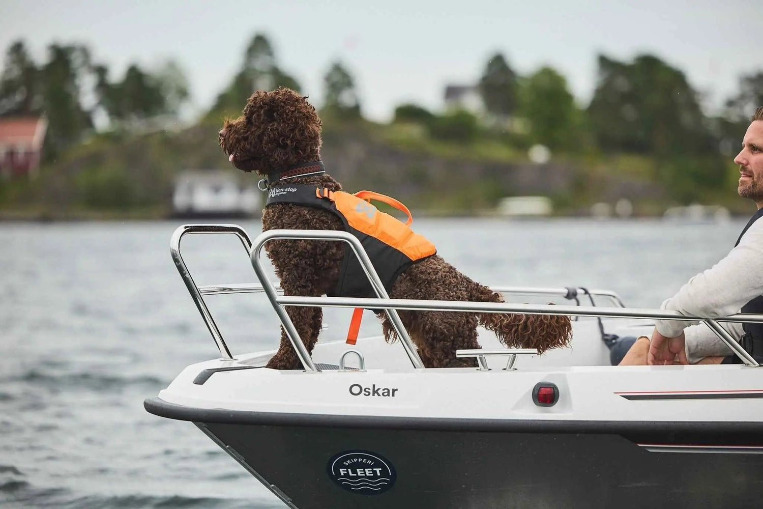 Non-stop dogwear Protector life jacket