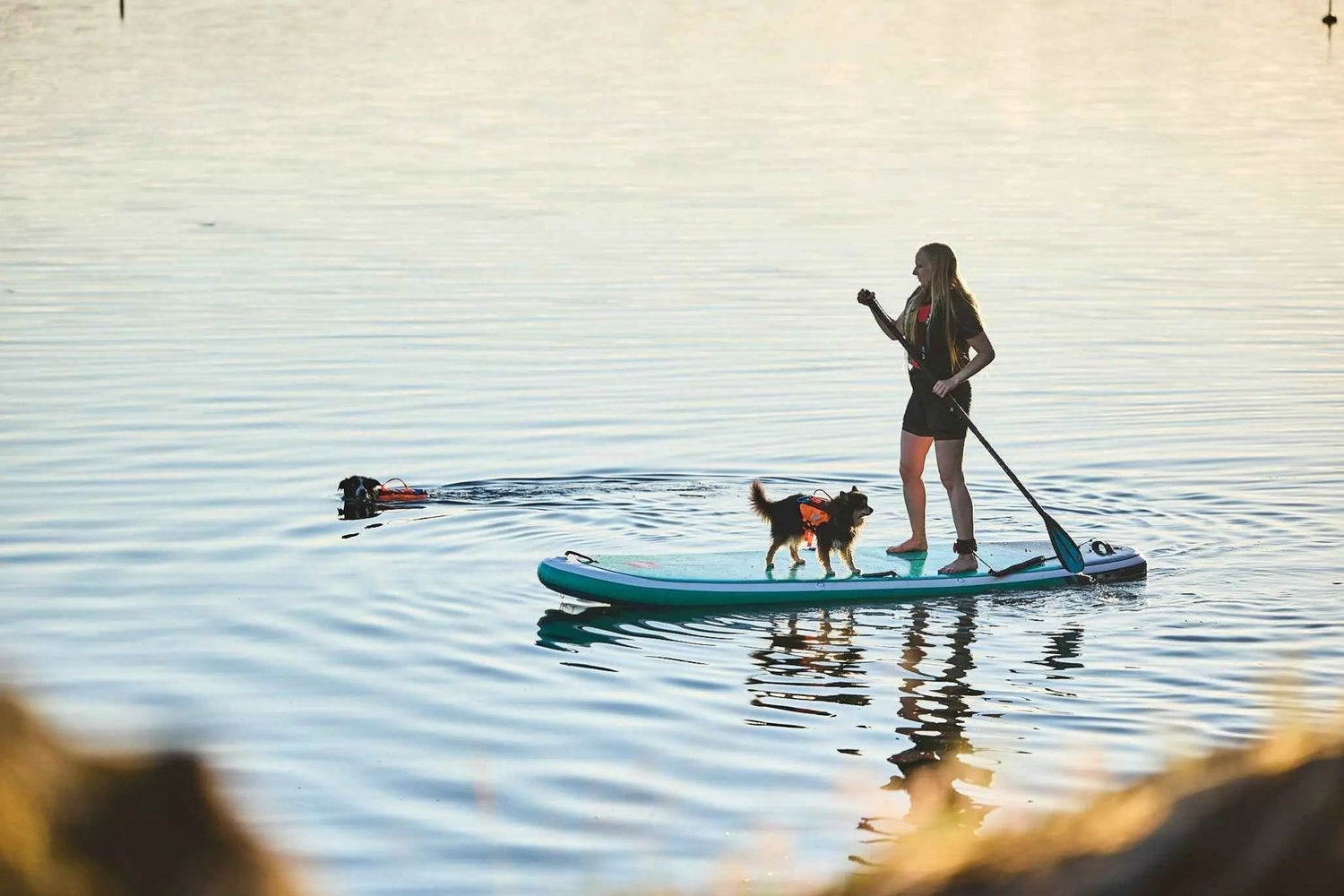 Non-stop dogwear Protector life jacket