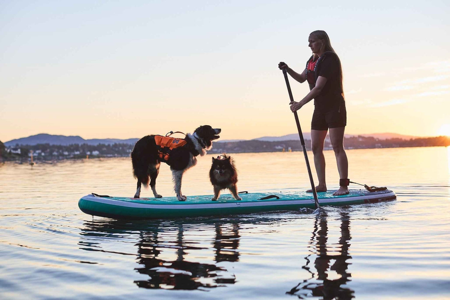 Non-stop dogwear Protector life jacket