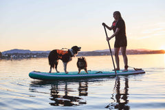 Non-stop dogwear Protector life jacket