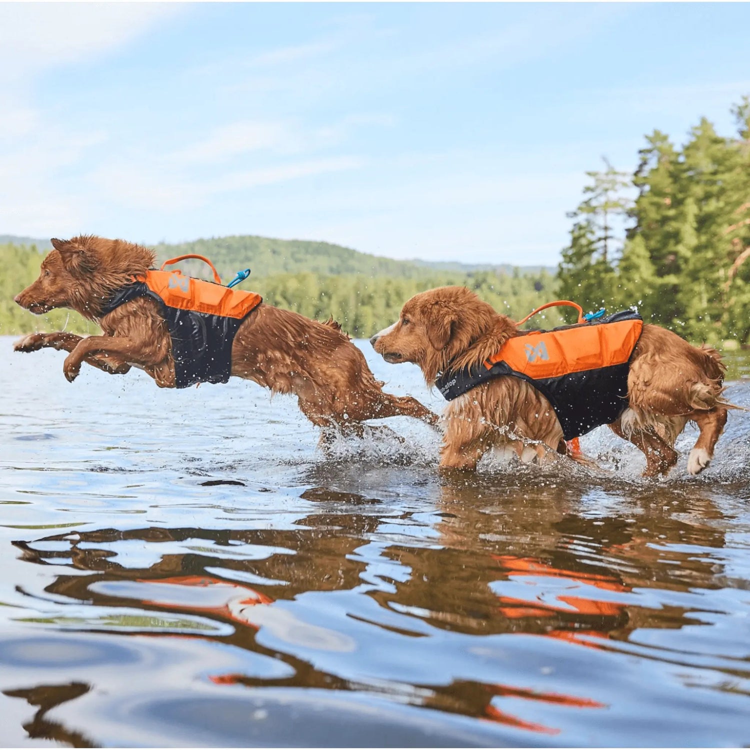 Non-stop dogwear Protector life jacket