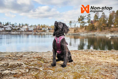Non-stop Dogwear Ramble Harness