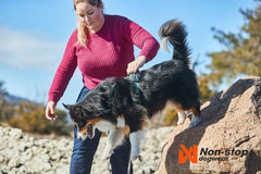 Non-stop Dogwear Ramble Harness