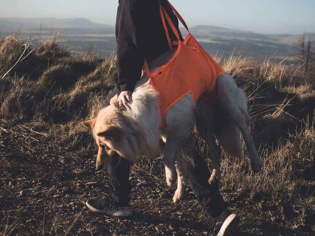 Non-stop dogwear Rescue Sling
