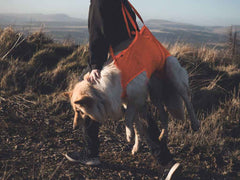 Non-stop dogwear Rescue Sling