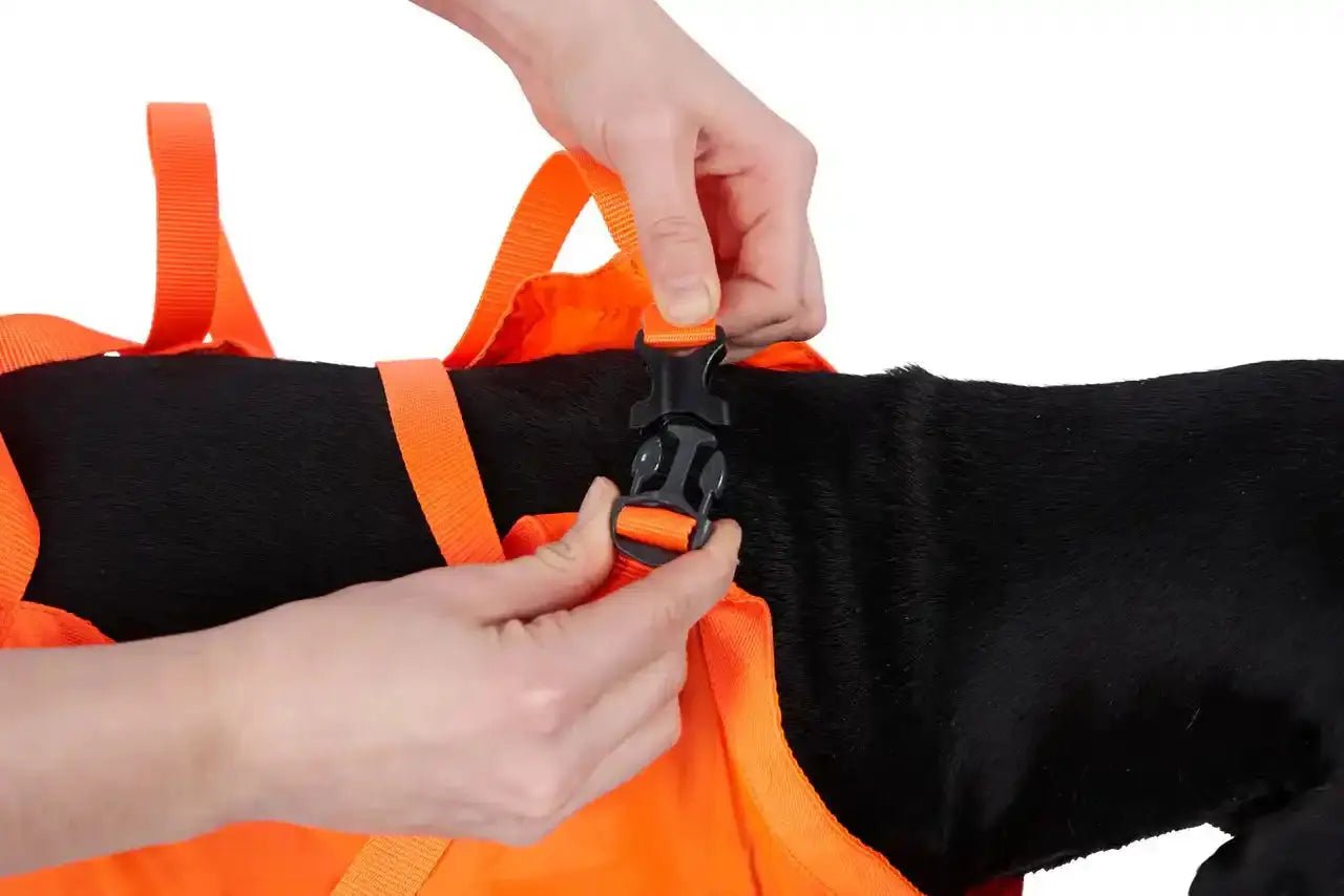 Non-stop dogwear Rescue Sling