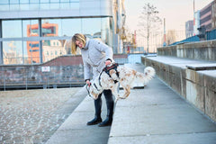 Non-stop dogwear Rock Harness Long