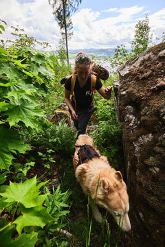 Non-stop dogwear Rock Harness Long