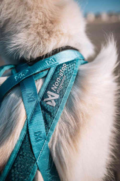 Non-stop Dogwear Rush Harness