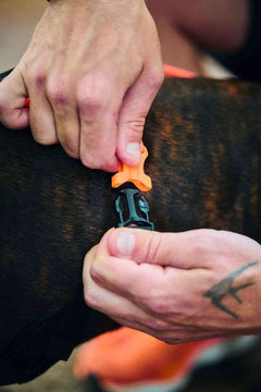 Non-stop Dogwear Rush Harness
