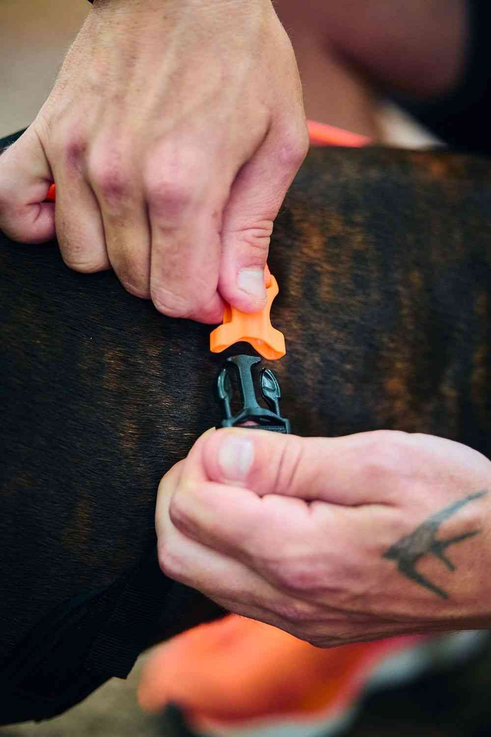 Non-stop Dogwear Rush Harness