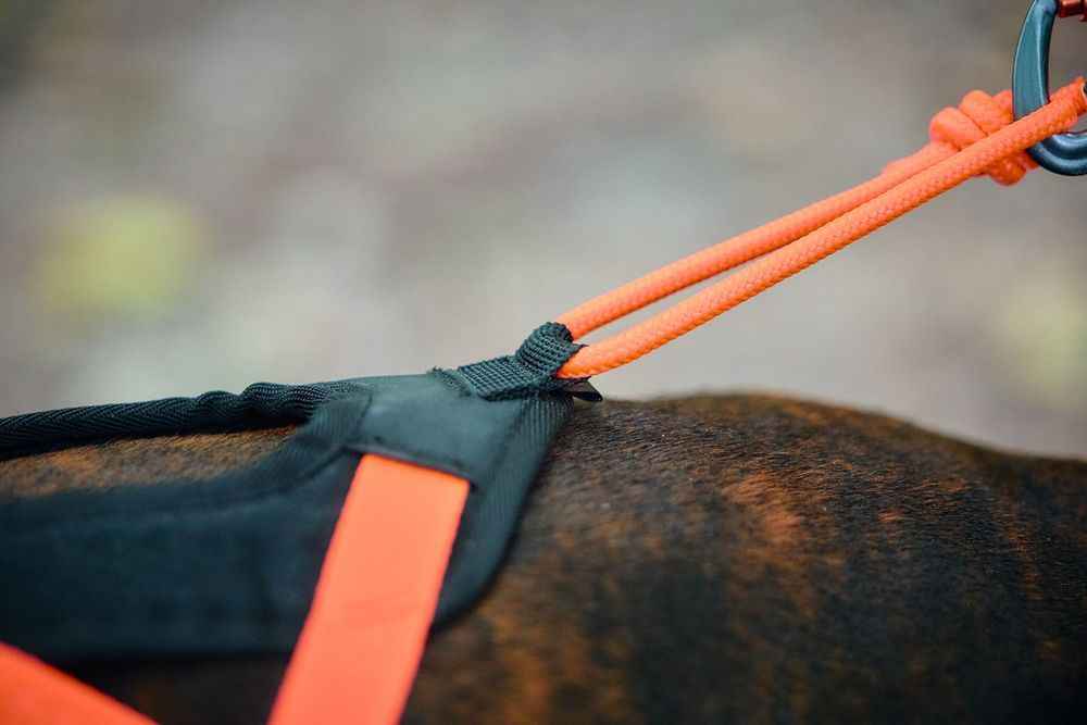 Non-stop Dogwear Rush Harness