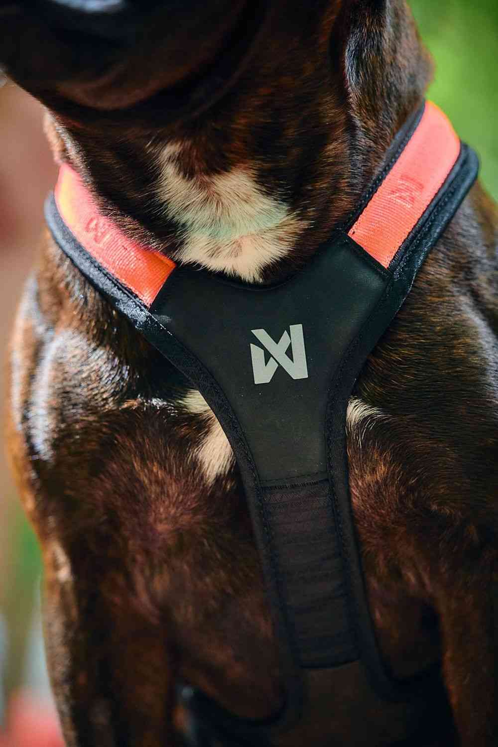 Non-stop Dogwear Rush Harness